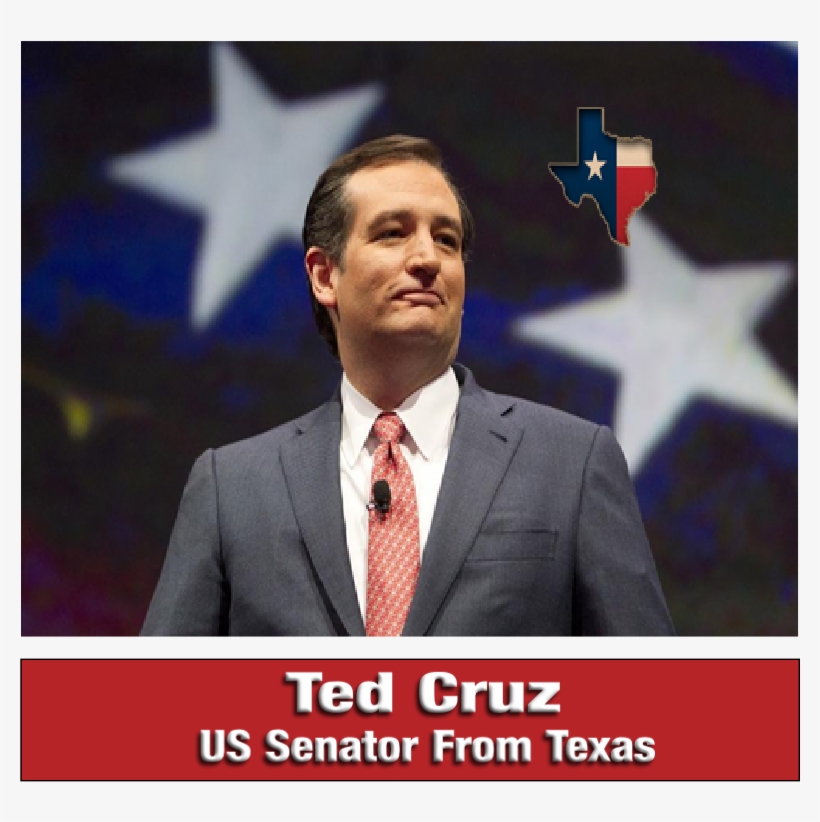 Ted Cruz Said He Was “emphatically Opposed” To Federal - Тед Круз Сенатор, transparent png #1477599