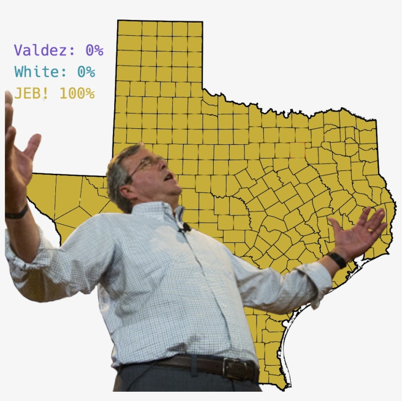 Jeb Bush Poses In Front Of A Picture Of Texas - Jeb Bush After The Recount, transparent png #1478481