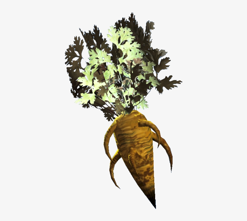 Carrot - Fallout Vegetables, transparent png #1478682