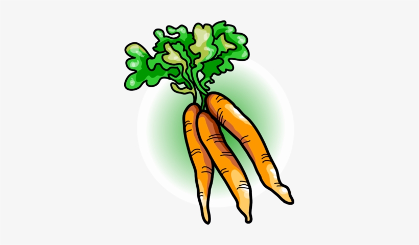 Food Carrot Icons Png - Clip Art Carrots, transparent png #1478739