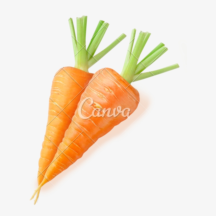 Two Fresh Carrots - Canva, transparent png #1478870