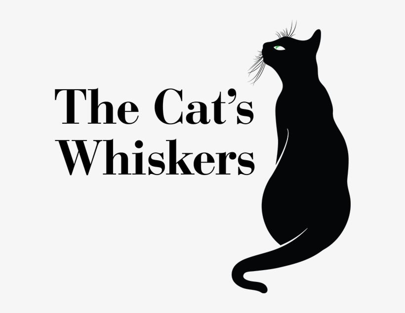 For Your Pets - Willow's Whispers, transparent png #1478900