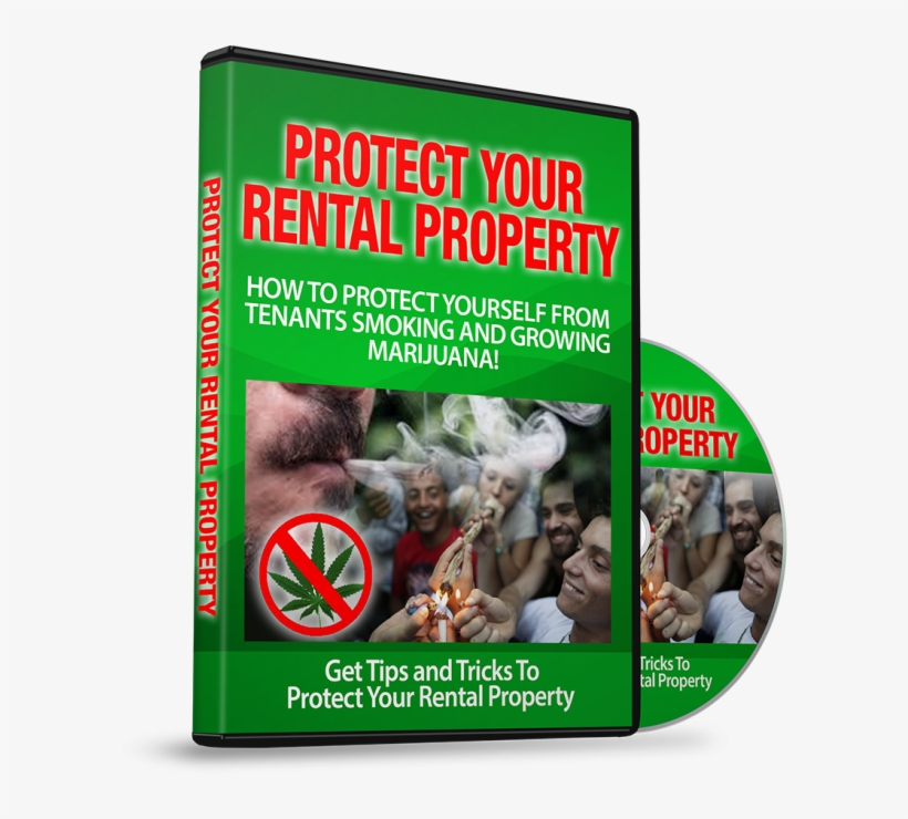 Managers Have Created A Comprehensive Cd Filled With - Cannabis, transparent png #1478960