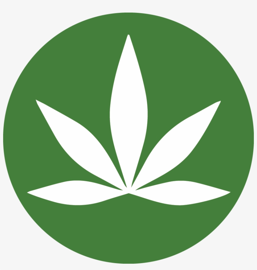 Squeeze Labs, transparent png #1479133