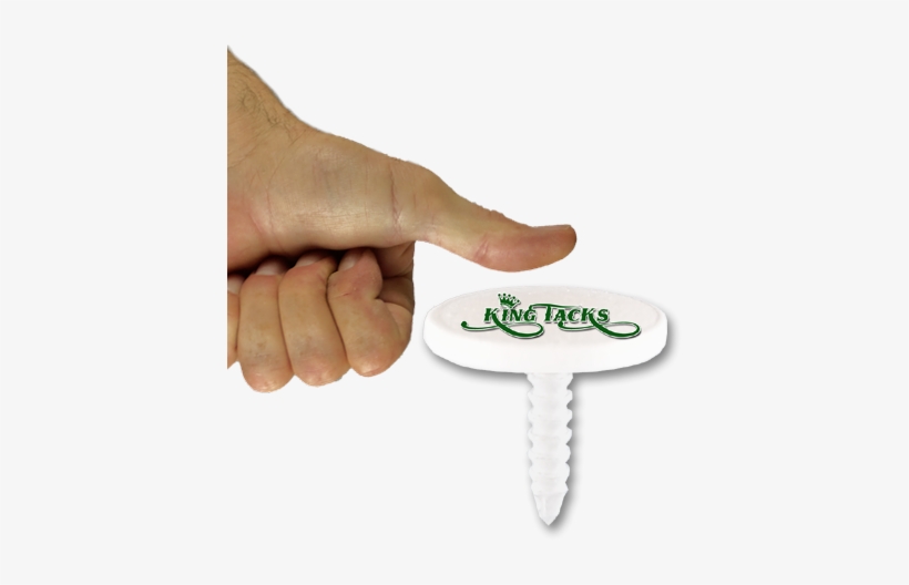 King Tacks Are Packaged In Bottles Rather Than The - Alligator, transparent png #1480441