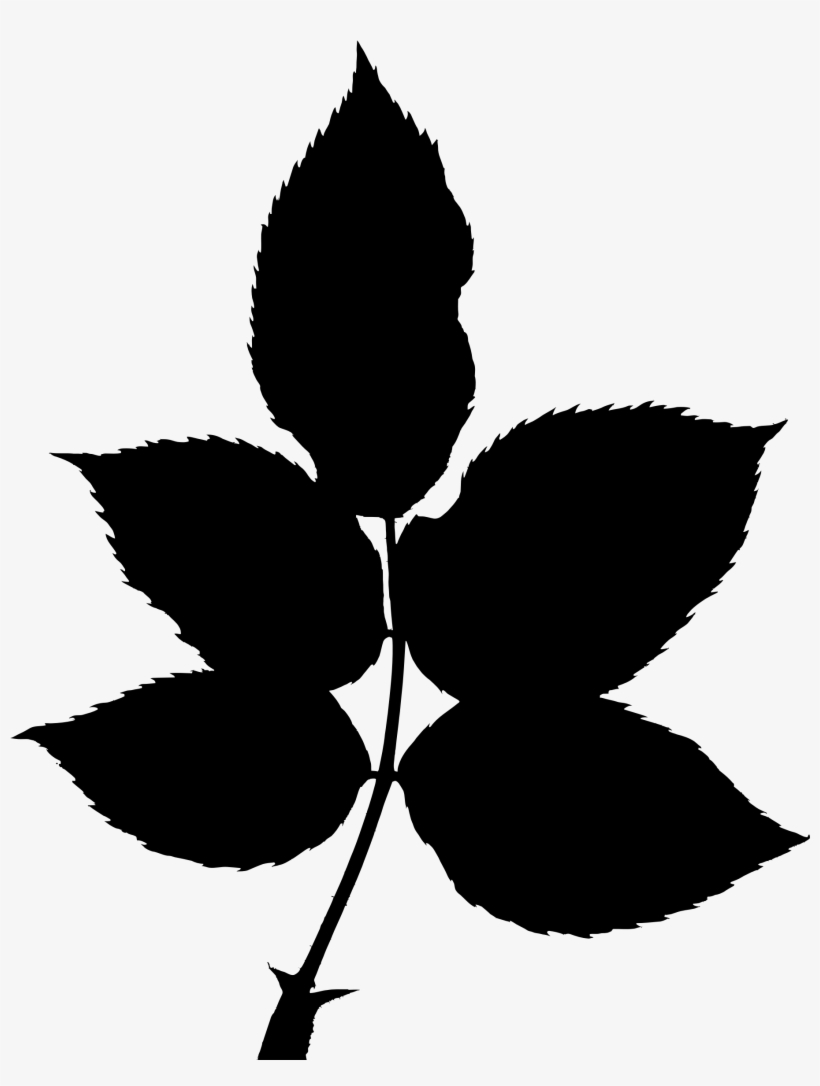 Transparent Leaves Silhouette - Tree Big Leaves Silhouette, transparent png #1482605