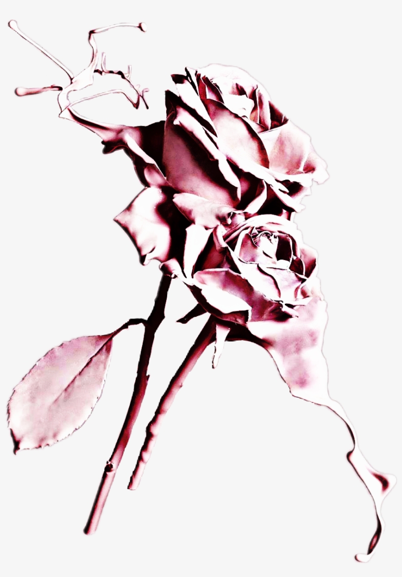 Dripping Drawing Rose - Fond D Écran Tumblr Rose, transparent png #1482670