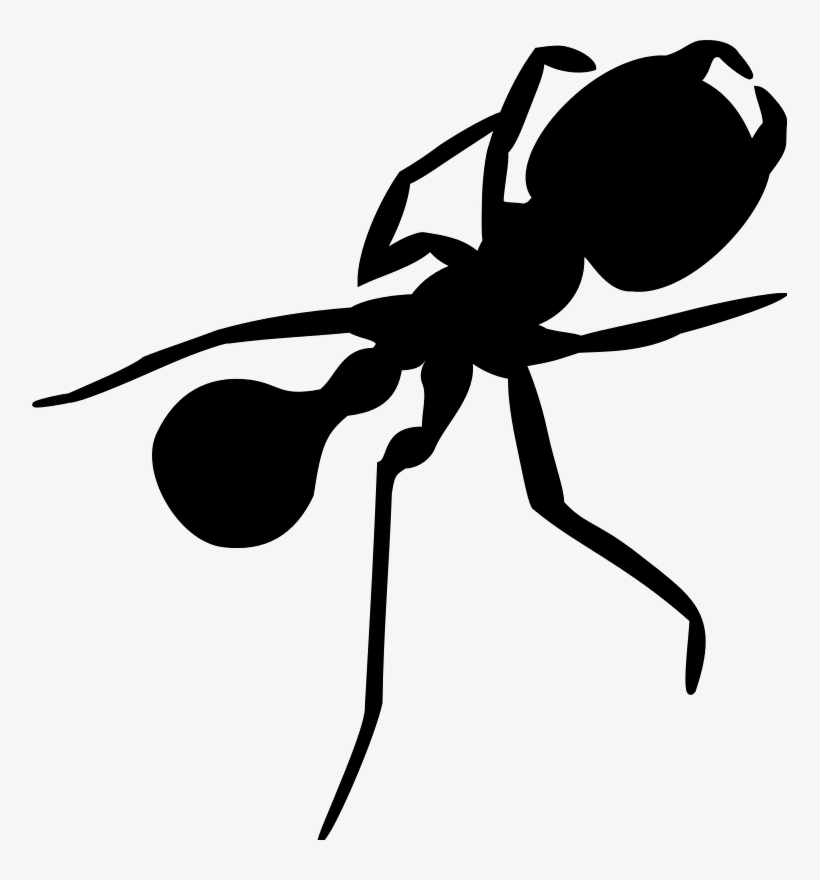 Silhouette 1 Ants - Ant Silhouette Png, transparent png #1483234