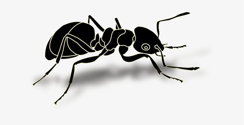 Ant, Insect, Hardworking, Busy - Ant Vector, transparent png #1483266
