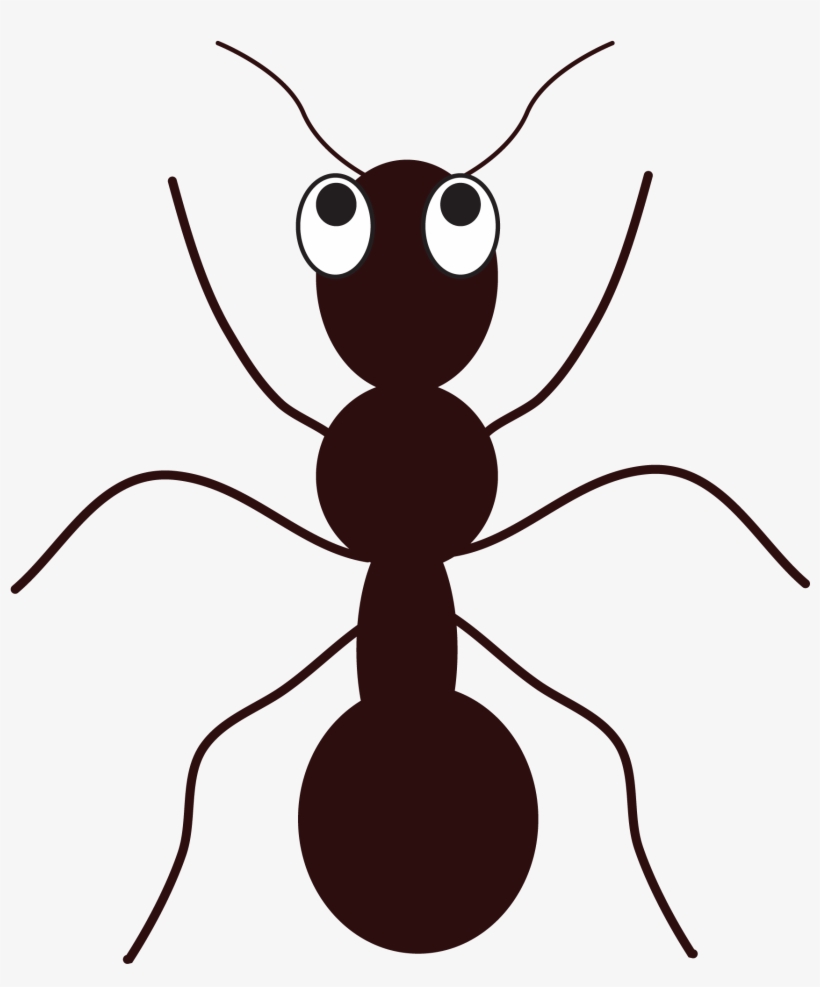 Free Ant Clipart Meum Visualdnsnet 5 - Free Clip Art Ant, transparent png #1483414