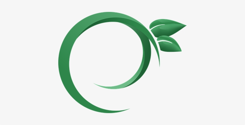 Logo Plant Branch Nature Green Leaves Foli - Logo Daun, transparent png #1483456