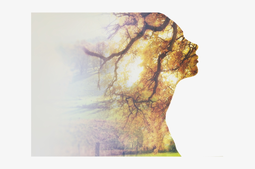 Awakened By Chris Mac 9781523497898 (paperback), transparent png #1483645