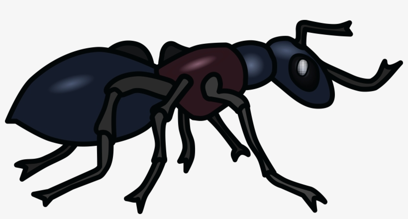 , , - Hormiga Blanco Y Negro, transparent png #1484000