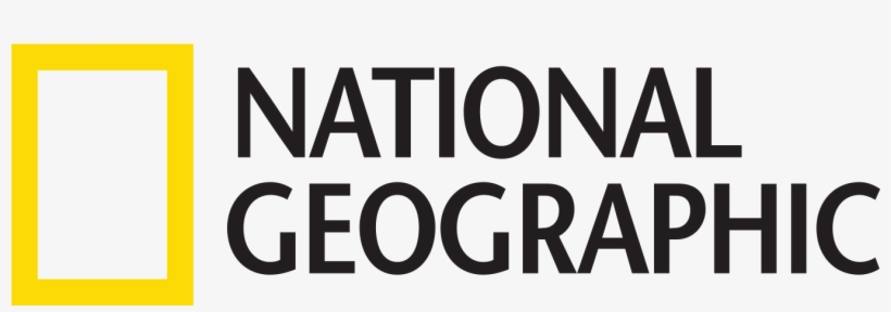 Aivopelit - National Geographic Plus Logo, transparent png #1484352