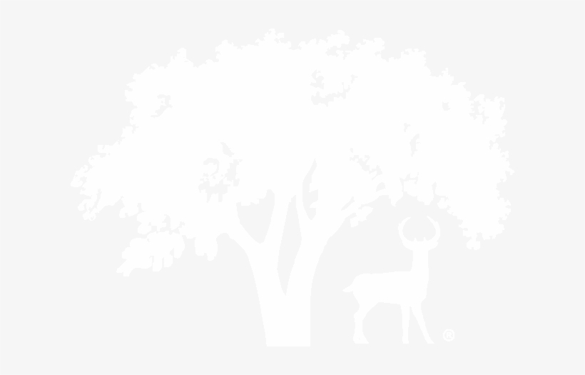 Illustration, transparent png #1485387