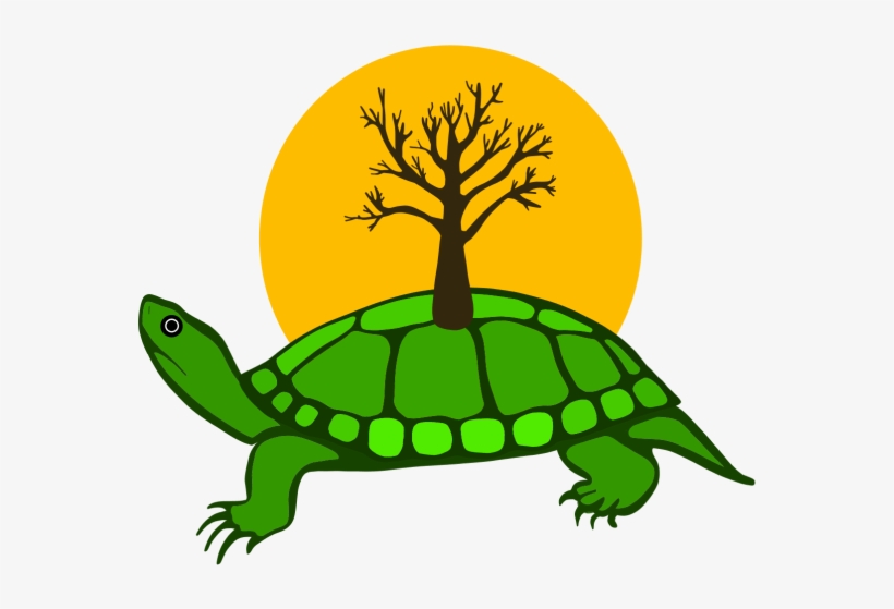 “i Was Glad That Turtle Island Was The One That Was - Indigenous Turtle, transparent png #1485527