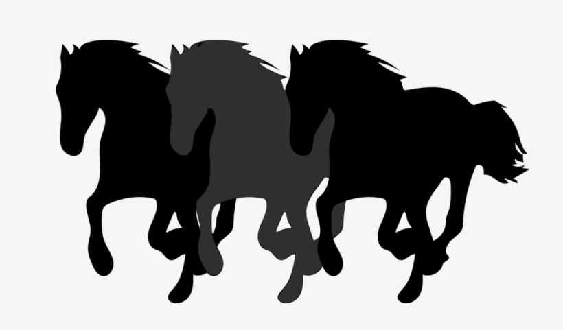 Three Horses Running - Black Horse Transparent, transparent png #1485584