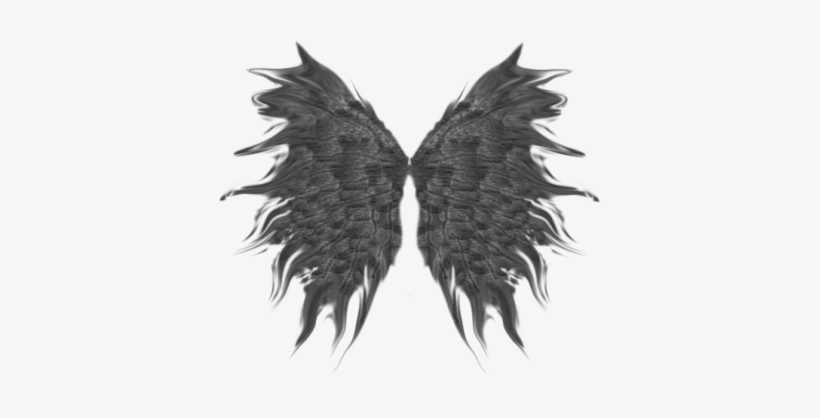 Soft-wings - Portable Network Graphics, transparent png #1486608