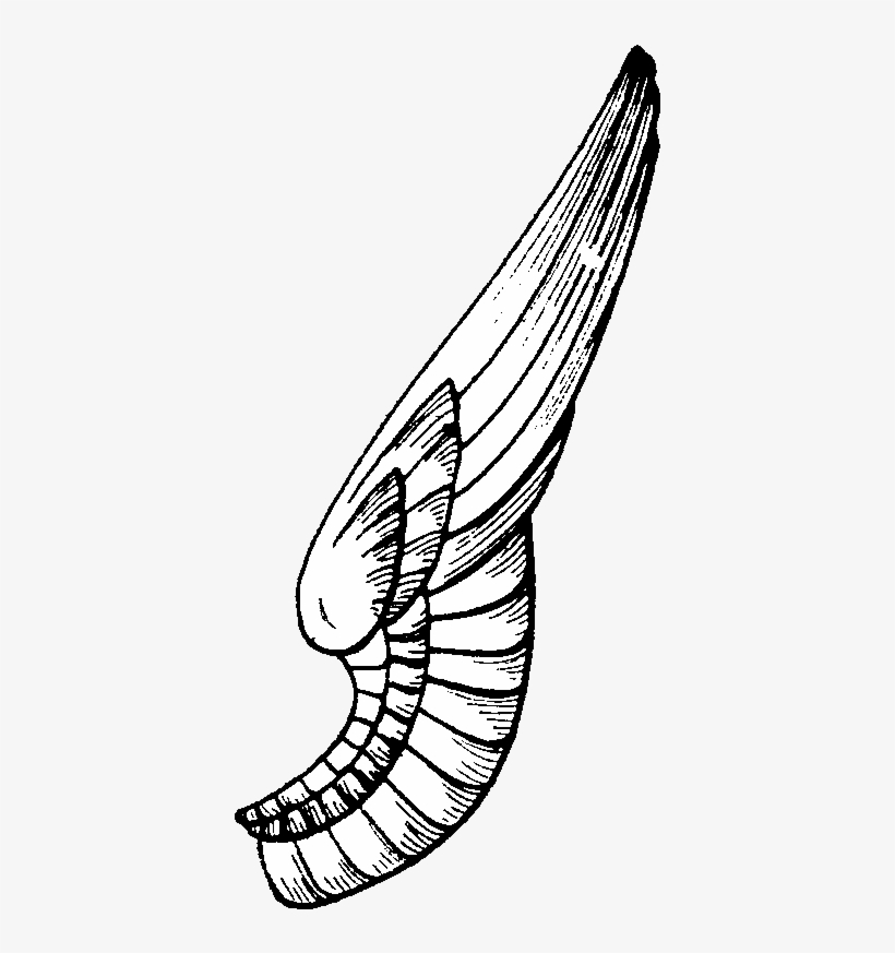 Below Are Some Extra Wings For You To Play With - One Side Wings Png, transparent png #1486677