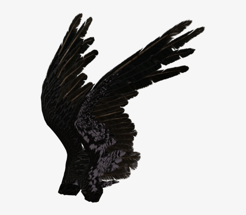 Black Angel Wings Side View, transparent png #1486804