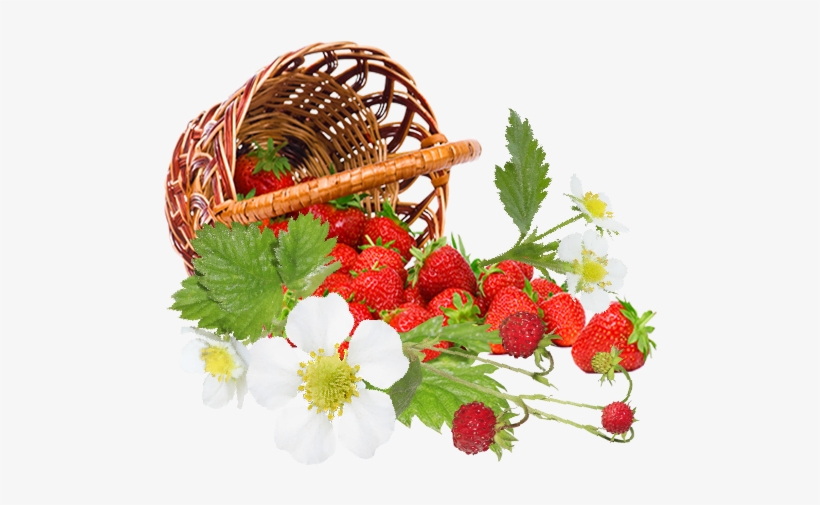 Strawberry - Beautiful Strawberries Hd, transparent png #1487976