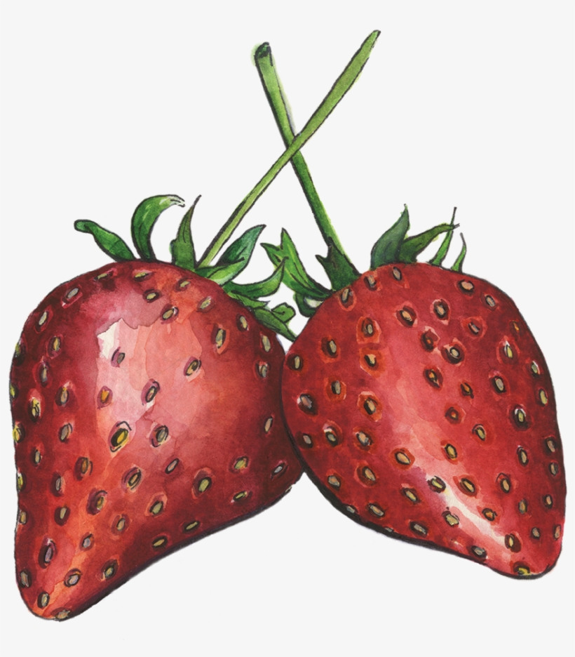 Strawberries - Massachusetts, transparent png #1488061