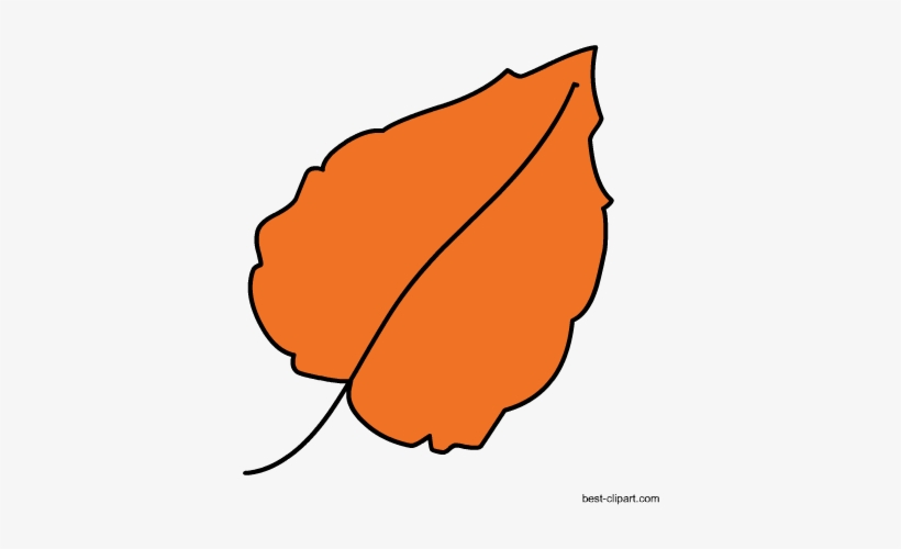 Orange Fall Leaf, Free Clip Art - Clip Art, transparent png #1488300
