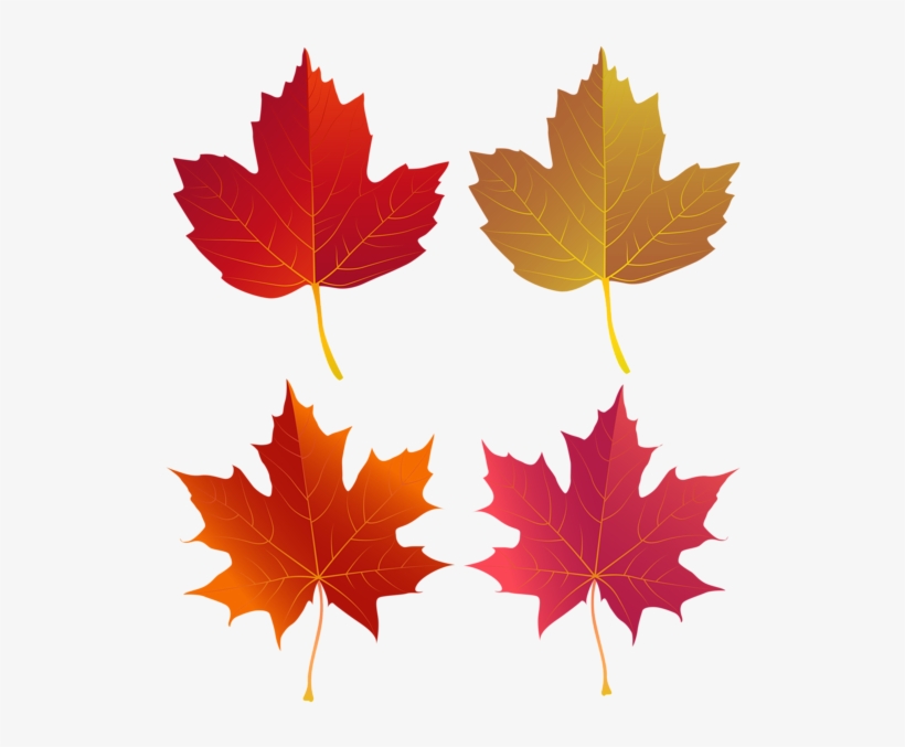 Set Of Autumn Leaves Png Clip Art - Politics Of War By Jean-christophe Boucher, transparent png #1488327