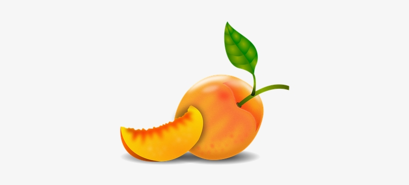 Peach Damascus Peach Tree Fruit Fruits Orc - Durazno Dibujo Png, transparent png #1488330