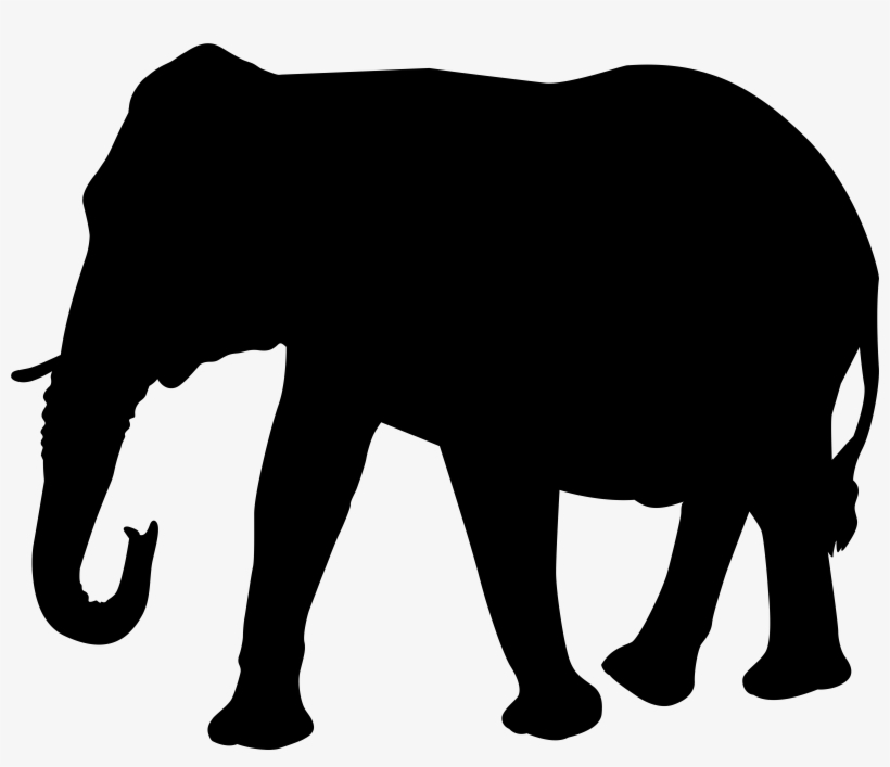 Elephant Head Png For Kids, transparent png #1489192