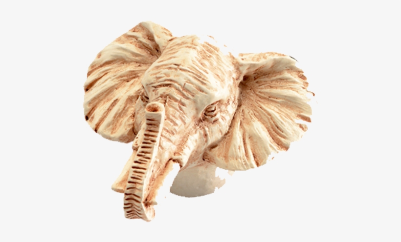 Elephant Head Cabinet Knob - Siro Designs Inc 1.75' Eleph Head Knob Sd100-140 Cabinet, transparent png #1489373