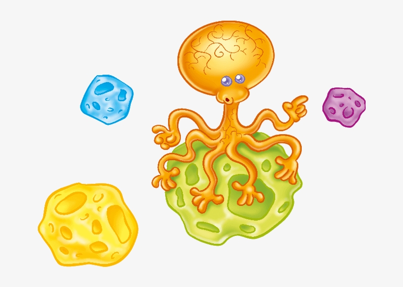 Wall Decal, transparent png #1489579