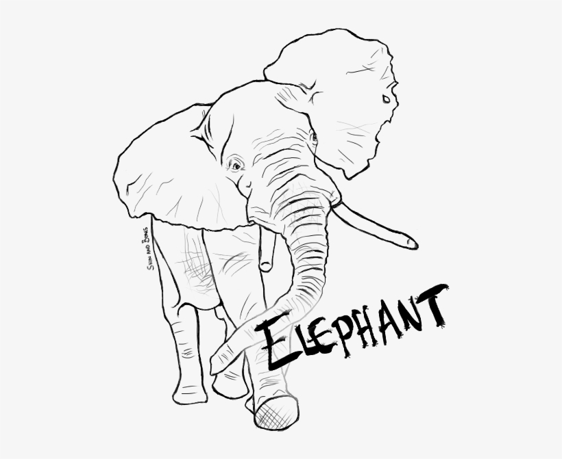Elephanttext - Line Art, transparent png #1489806