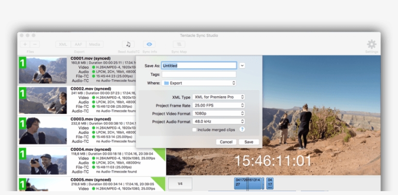 Batch Timecode Synchronization Software For Mac - Tentacle Sync, transparent png #1489822