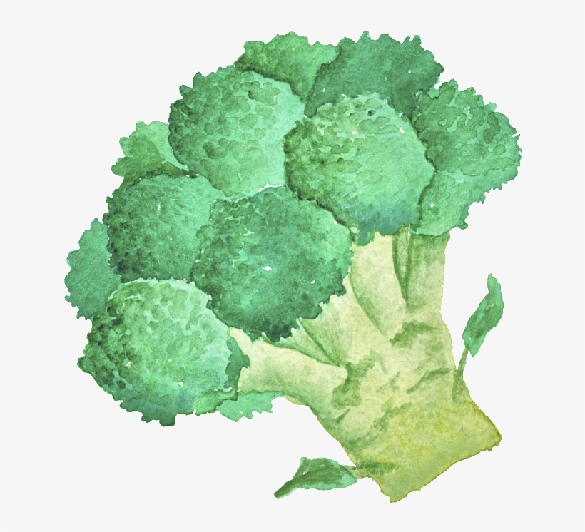 Green Hand Painted Broccoli Cartoon Vegetable Kitchen - Broccoli, transparent png #1490088