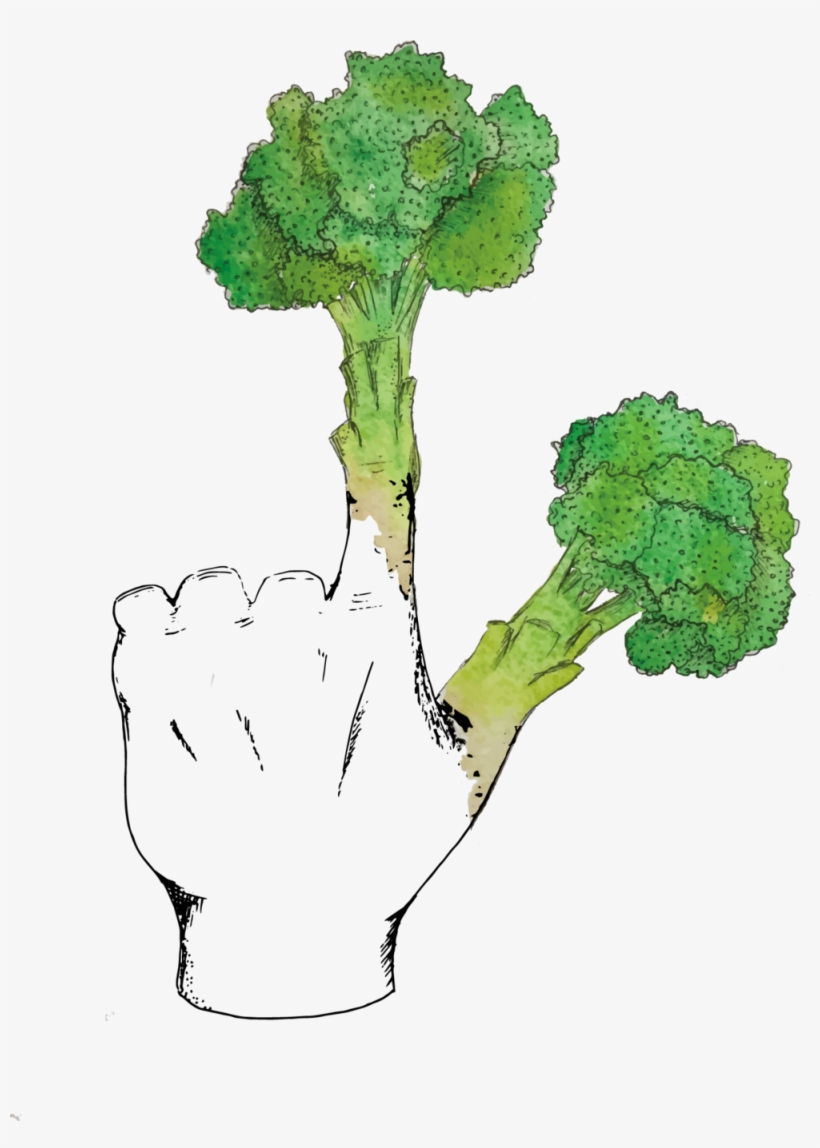 Broccoli Fingers, transparent png #1490178