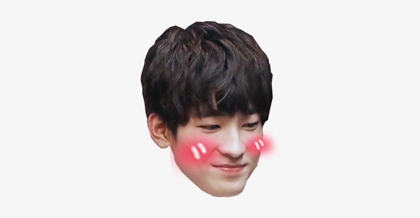 [png Request] Wonwoo, Suga, B - Seventeen Wonwoo Face Png, transparent png #1490229