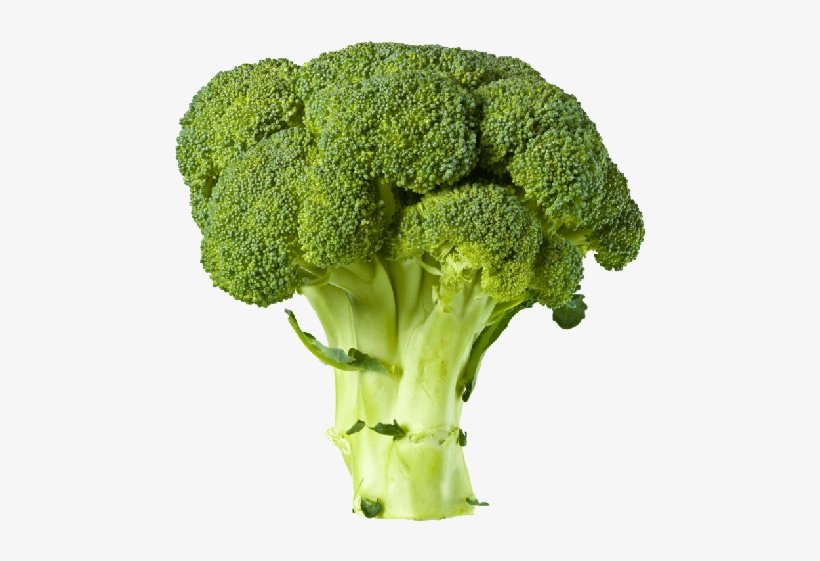 Vegetables - Broccoli Transparent, transparent png #1490234