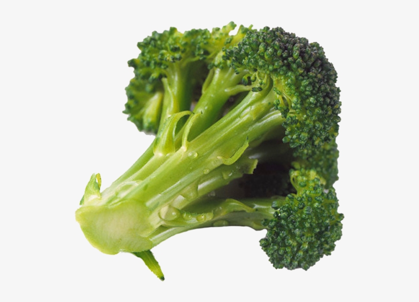 044-brocoli - Vegetal Que Parece Arvore, transparent png #1490324