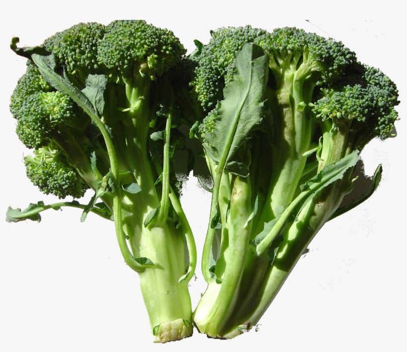 Broccoli Dsc00861 - Vegetables Have Calcium, transparent png #1490389
