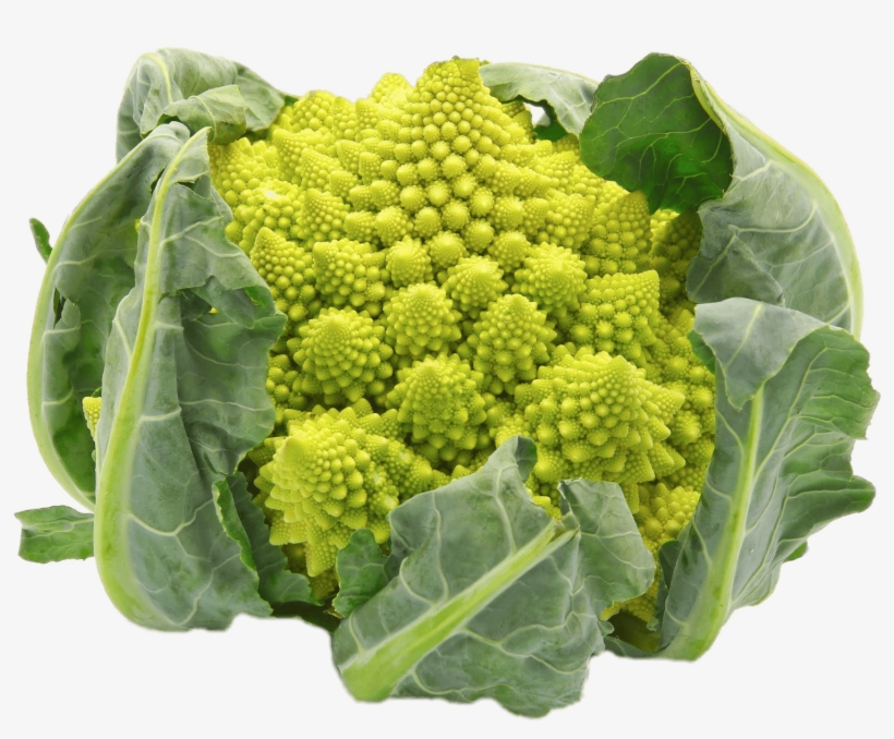 Download - Romanesco Kool, transparent png #1490481