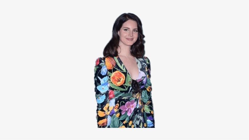 Lana Del Rey Flower Dress Png - Girl, transparent png #1490560