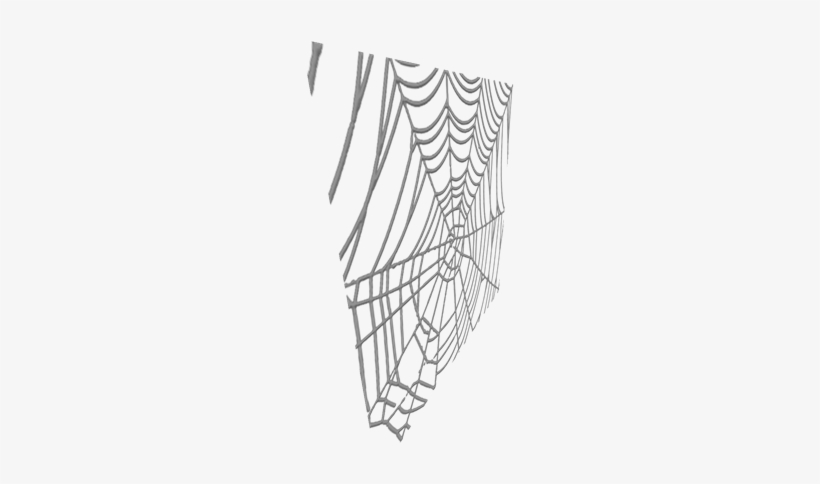 Spiderweb - Spider Web, transparent png #1490706