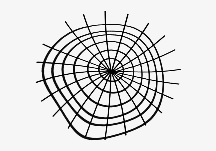 Al Halloween Spider Web 2 Simran Dhaliwal Png - The Grit Guard Insert Red, transparent png #1490988