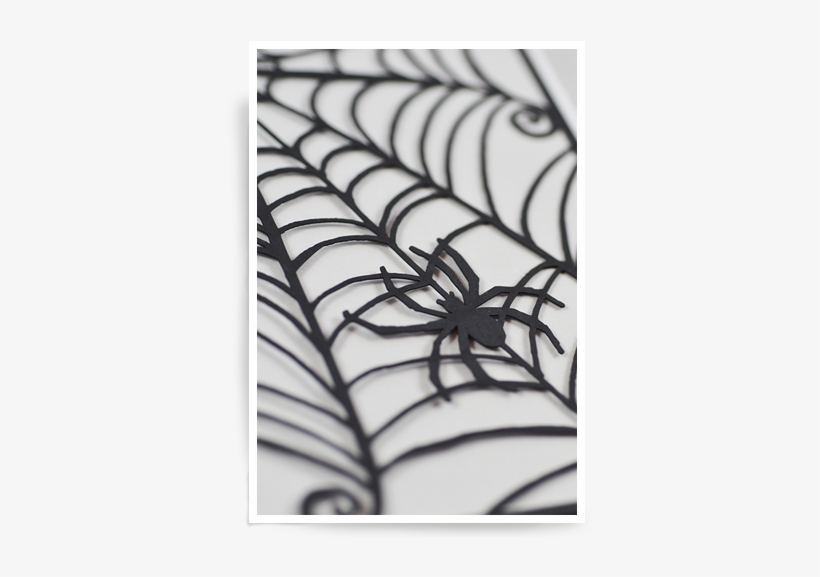 Spiderweb - Spiderweb - Spider Web, transparent png #1491087