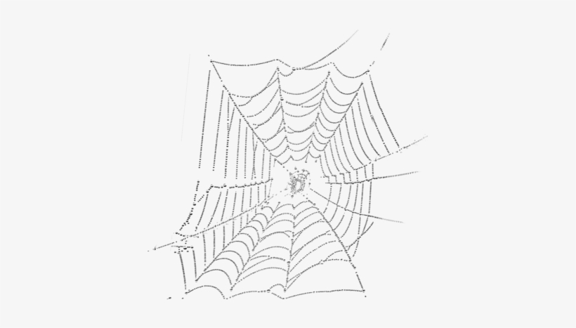 White Spider Web Png Spider Web Psd, Vector Graphic - Spider, transparent png #1491104