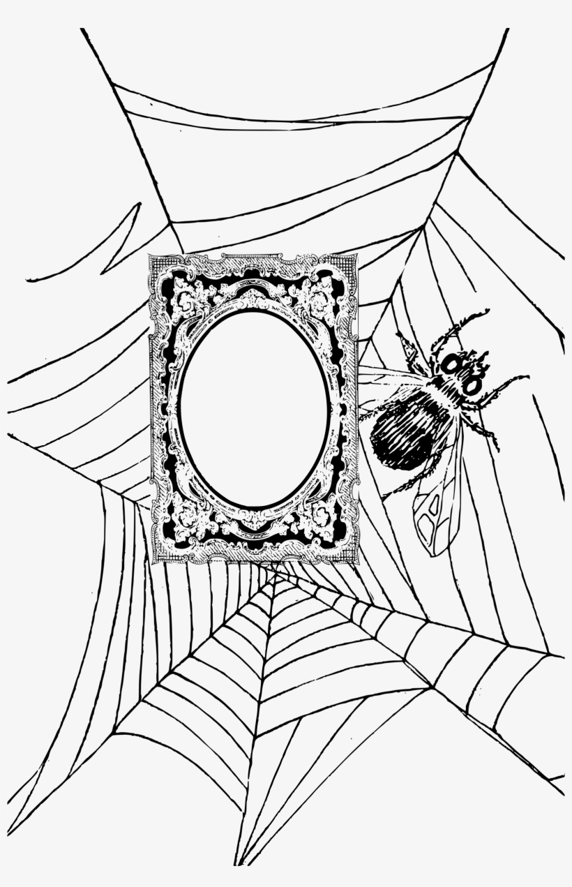 Big Image - Spider Web, transparent png #1491107