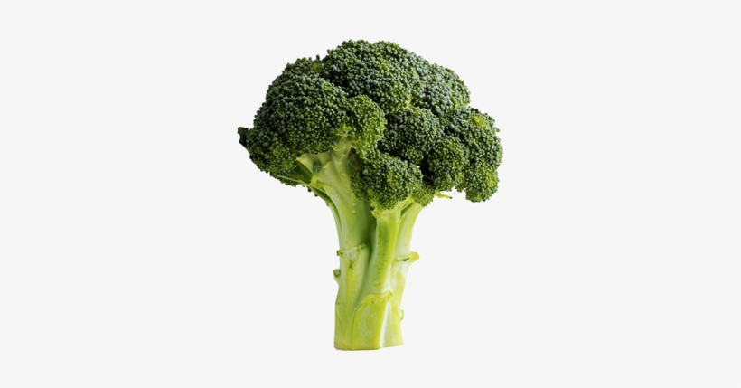 Broccoli - Carbs For Muscle, transparent png #1491532