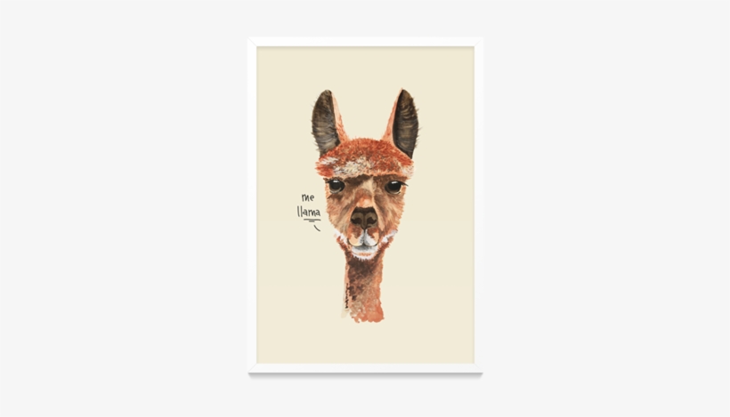 Poster Me Llama De Folk Studiona - Cushion, transparent png #1491948