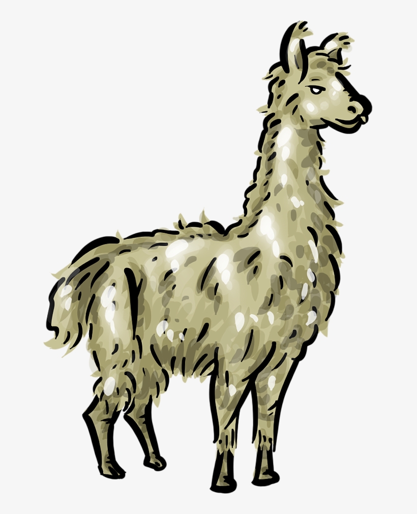 Llama Clipart Real - Llama Clipart Png, transparent png #1492238
